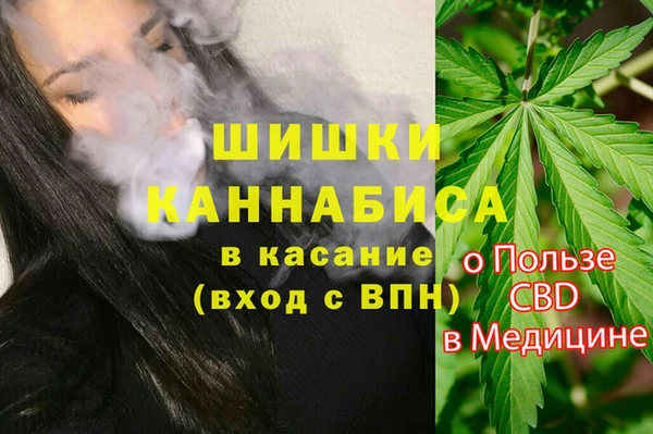 spice Аркадак