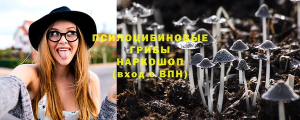 spice Аркадак