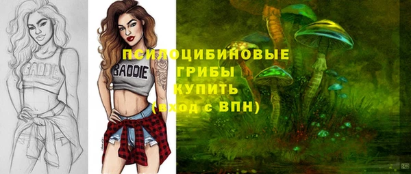 PSILOCYBIN Армянск