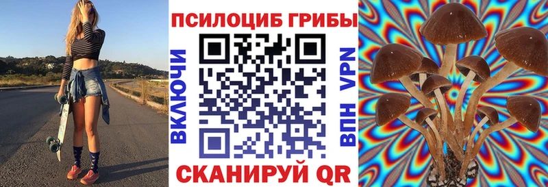 Галлюциногенные грибы Cubensis  hydra зеркало  Узловая 